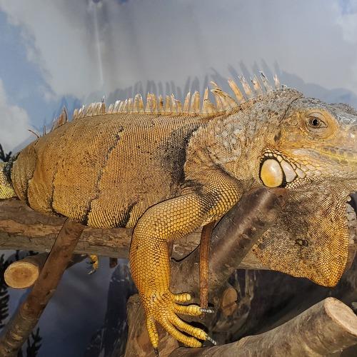 Photo #4370193