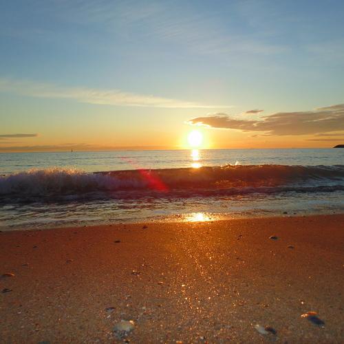 Photo #4370400