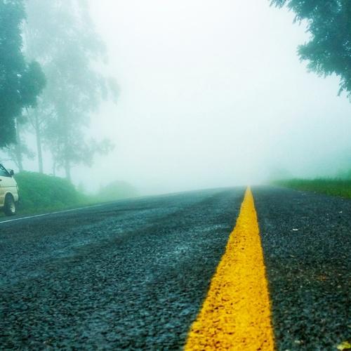 Photo #4370516