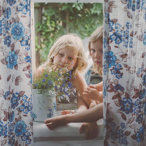 Photo #4370520
