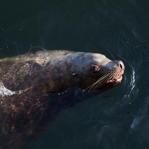 Photo #4370842