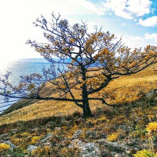 Photo #4370860