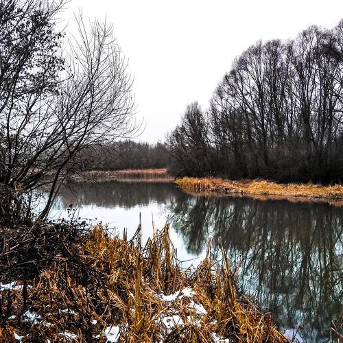 Photo #4371267