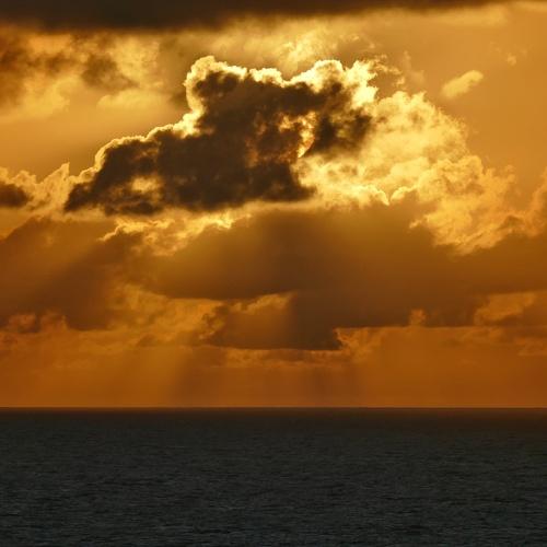 Photo #4371499