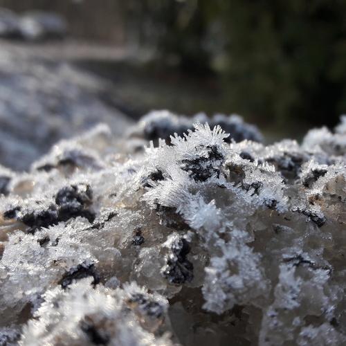 Photo #4371527
