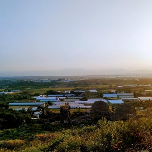 Photo #4372077
