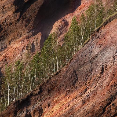Photo #4372138