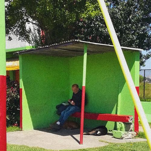 Photo #4372152