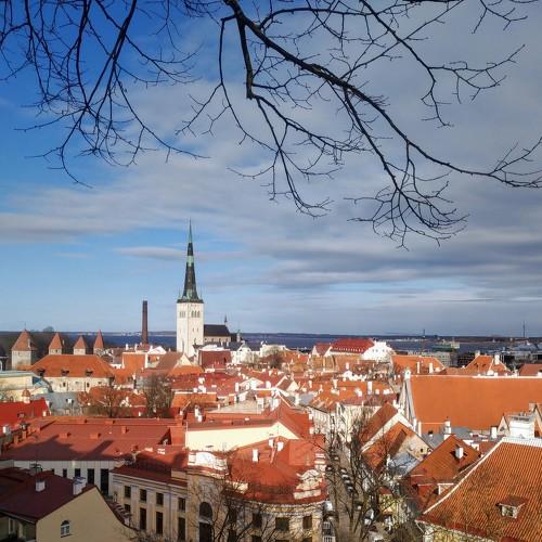 Photo #4372184