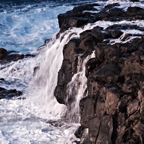 Photo #4372394
