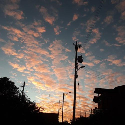 Photo #4372399