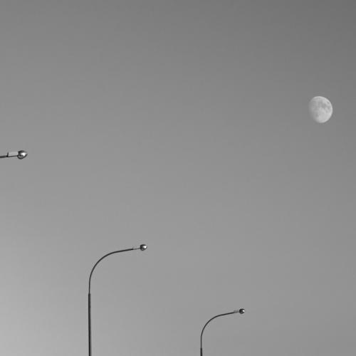 Photo #4372428