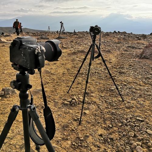 Photo #4372499