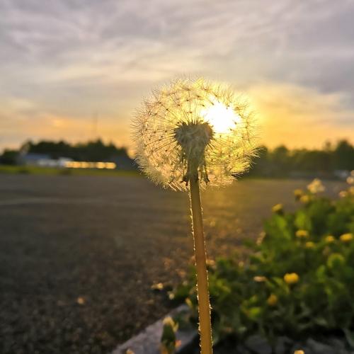 Photo #4372506