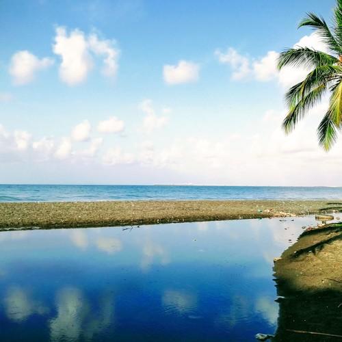Playa nizao