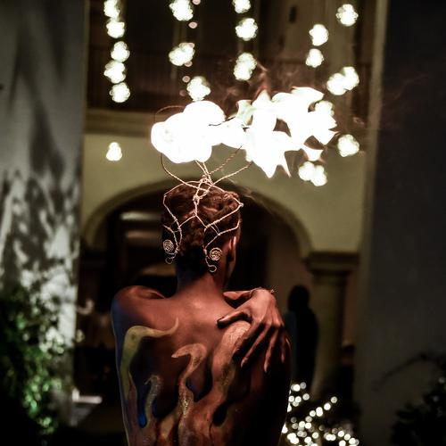 Photo #4372918