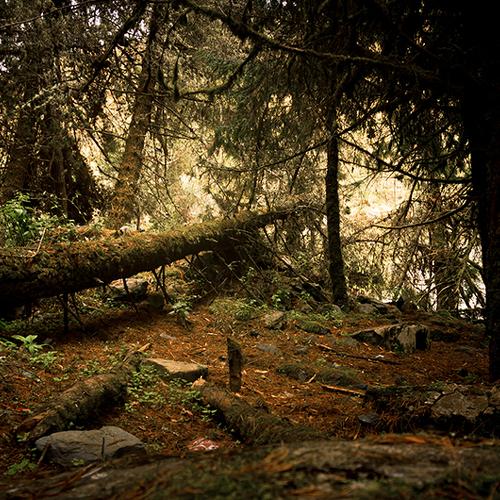 Photo #4372960