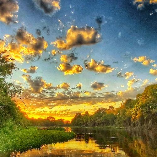 Photo #4373001