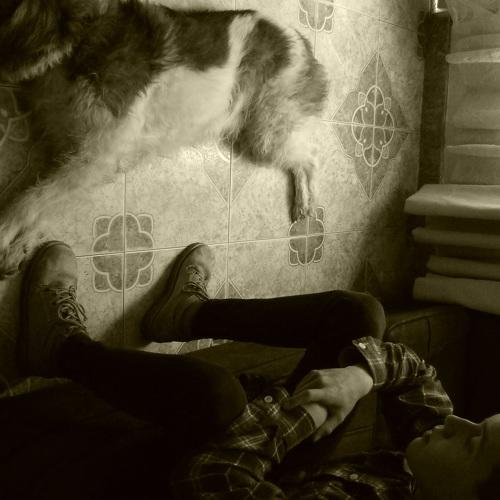 Photo #4373095