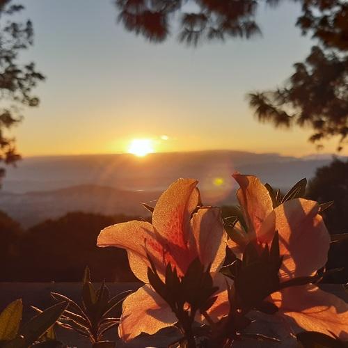 Photo #4373137