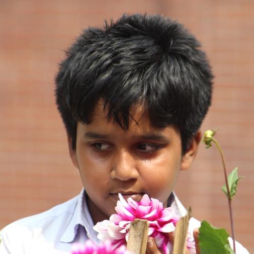 Photo #4373282
