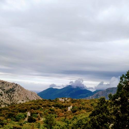 Photo #4373310