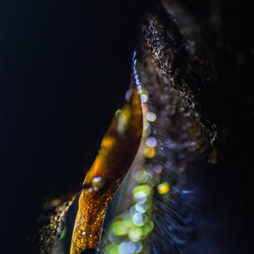 Photo #4373380