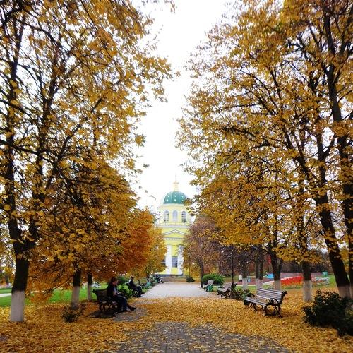 Photo #4373442