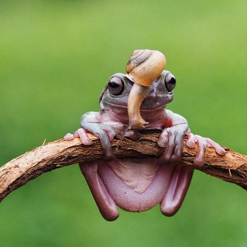 Photo #4373493