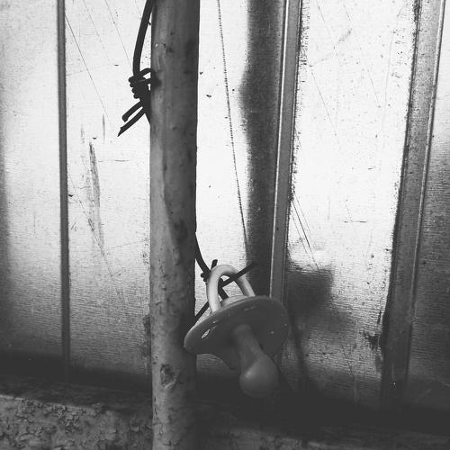 Photo #4373564