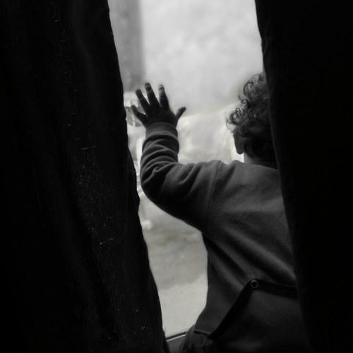 Photo #4373602