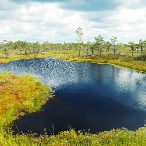 Photo #4373645
