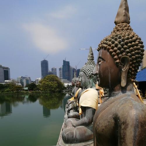 Photo #4373653