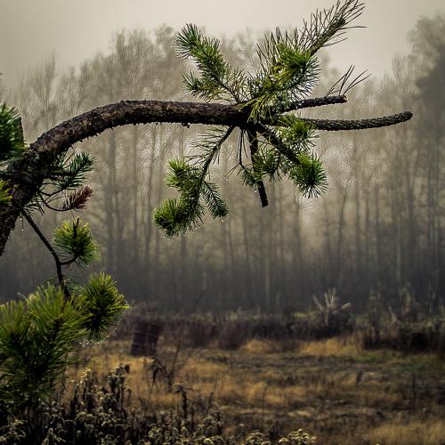 Photo #4373717