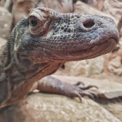Photo #4374132