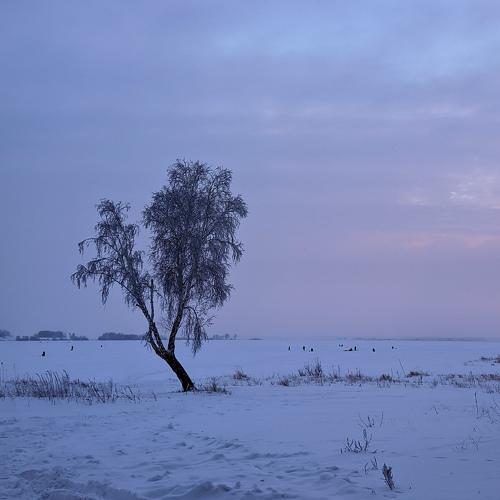 Photo #4374307