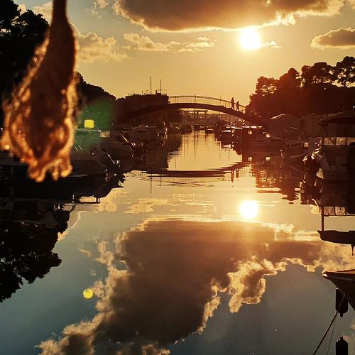 Photo #4374313