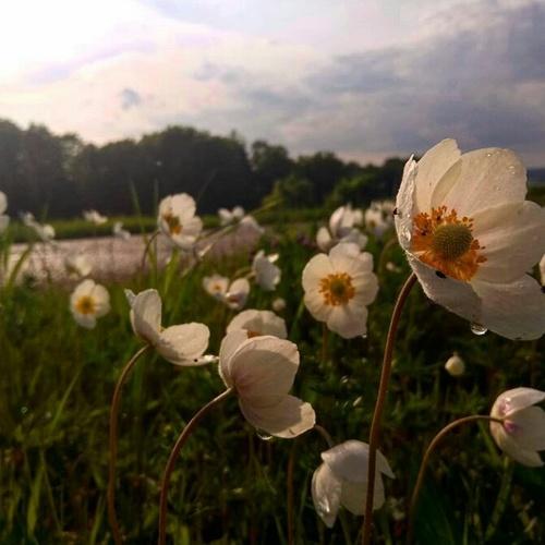 Photo #4374360