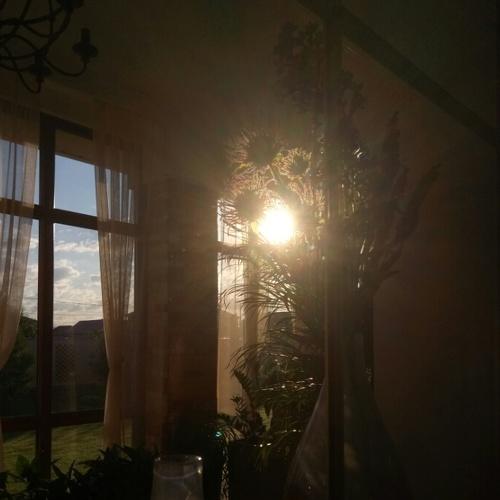 Photo #4374372