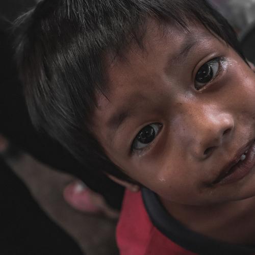 Photo #4374596