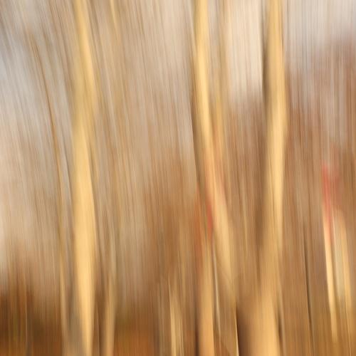 Photo #4374758