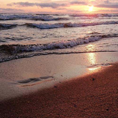 Photo #4374764