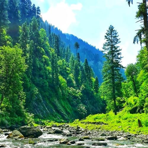 Photo #4374950