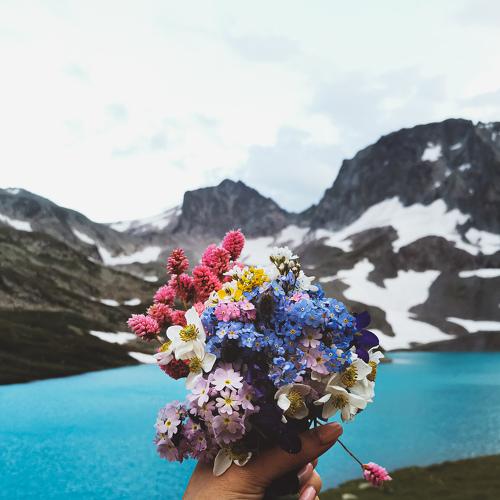 Photo #4374998