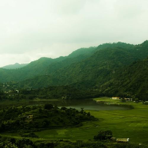 Photo #4375041