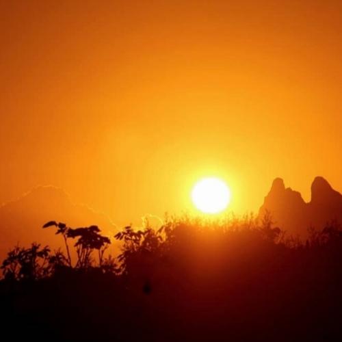Photo #4375301