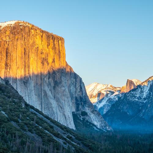 Photo #4375371