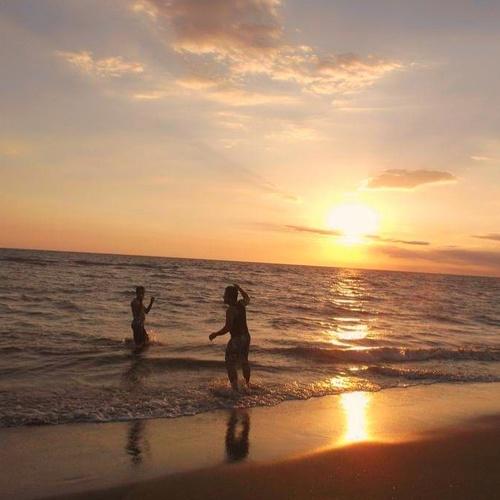 Photo #4375657