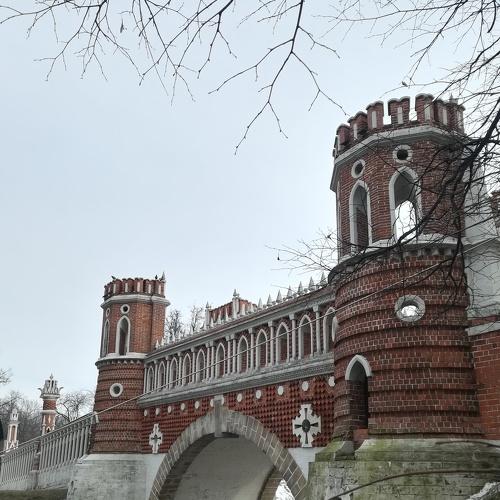 Photo #4376210