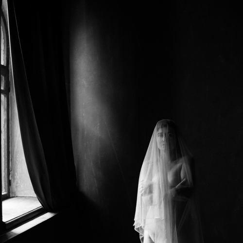 Photo #4376384